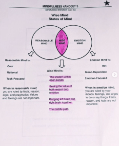 DBT handout for recovery from BPD